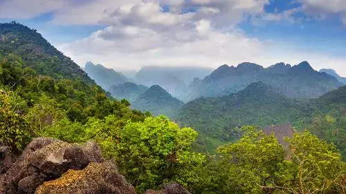 Agumbe 1-Night, 2-Day Nature Getaway