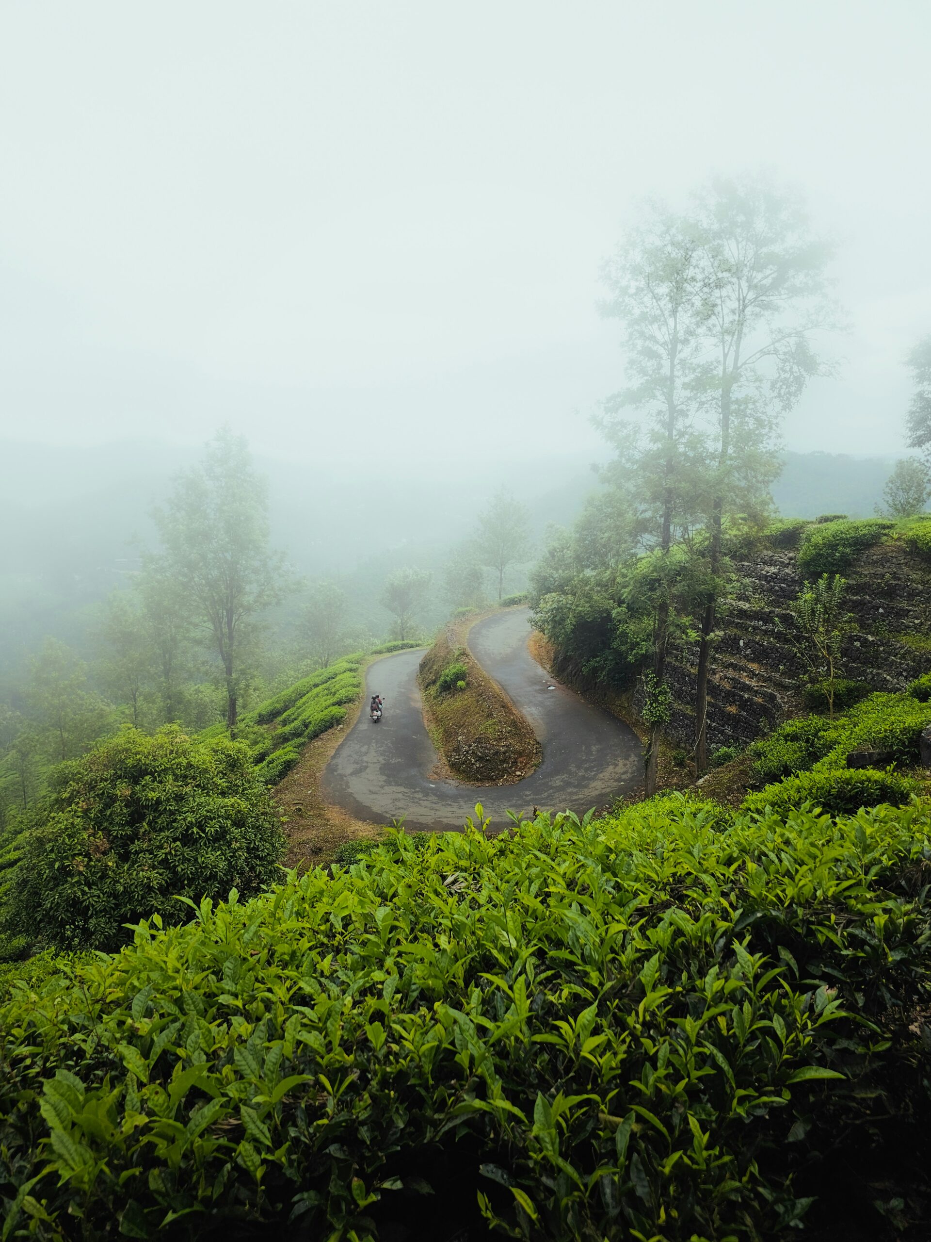 Wayanad Trip Packages