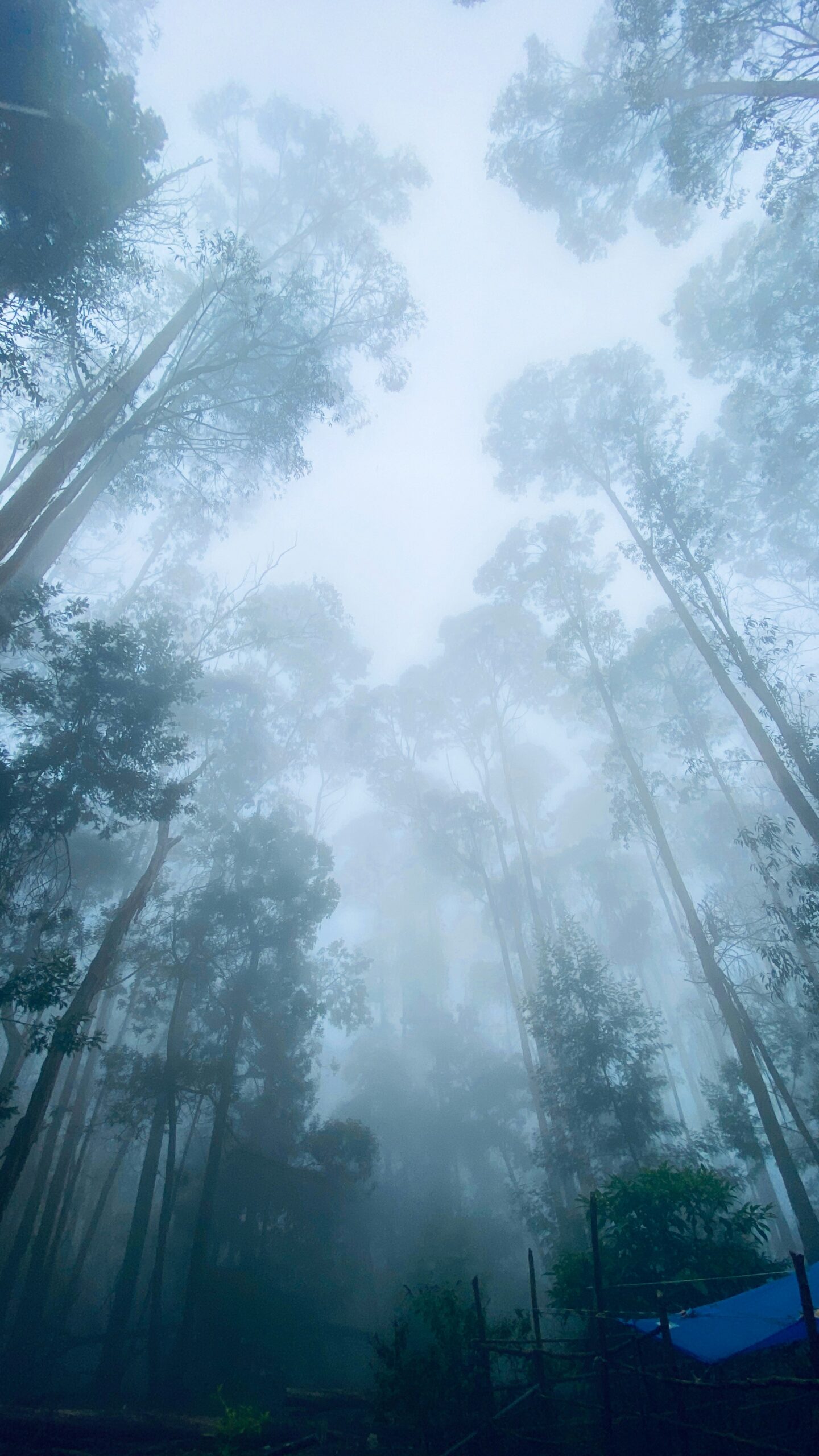 Kodaikanal Backpacking Trip: Scenic Adventure