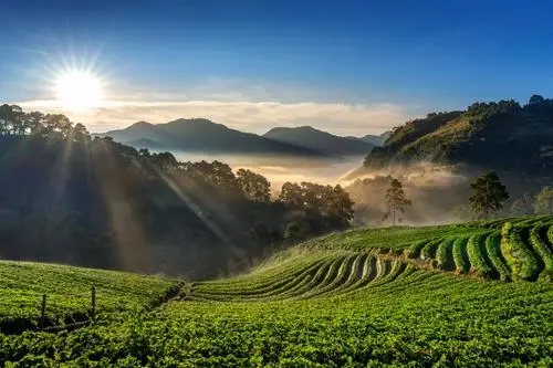 Bangalore, Mysore & Ooty Tour Package