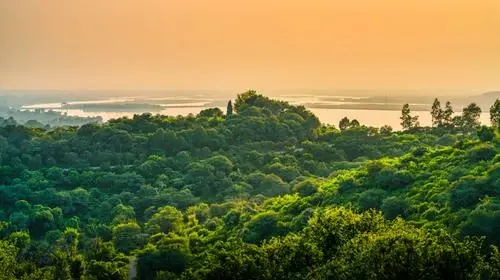 Chinnar Wildlife & Yercaud Hill Escape: 2N3D Adventure 2026