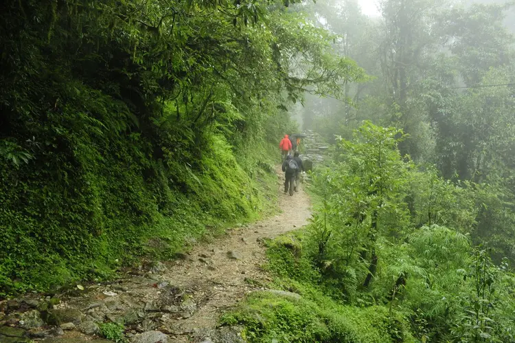 Best of Coorg & Wayanad: Misty Meadows & Scenic Trails