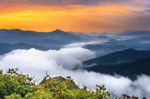 Bangalore, Mysore, Ooty & Kodaikanal Tour Package